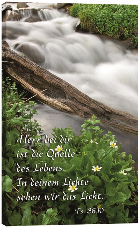 Leinwand - Quelle