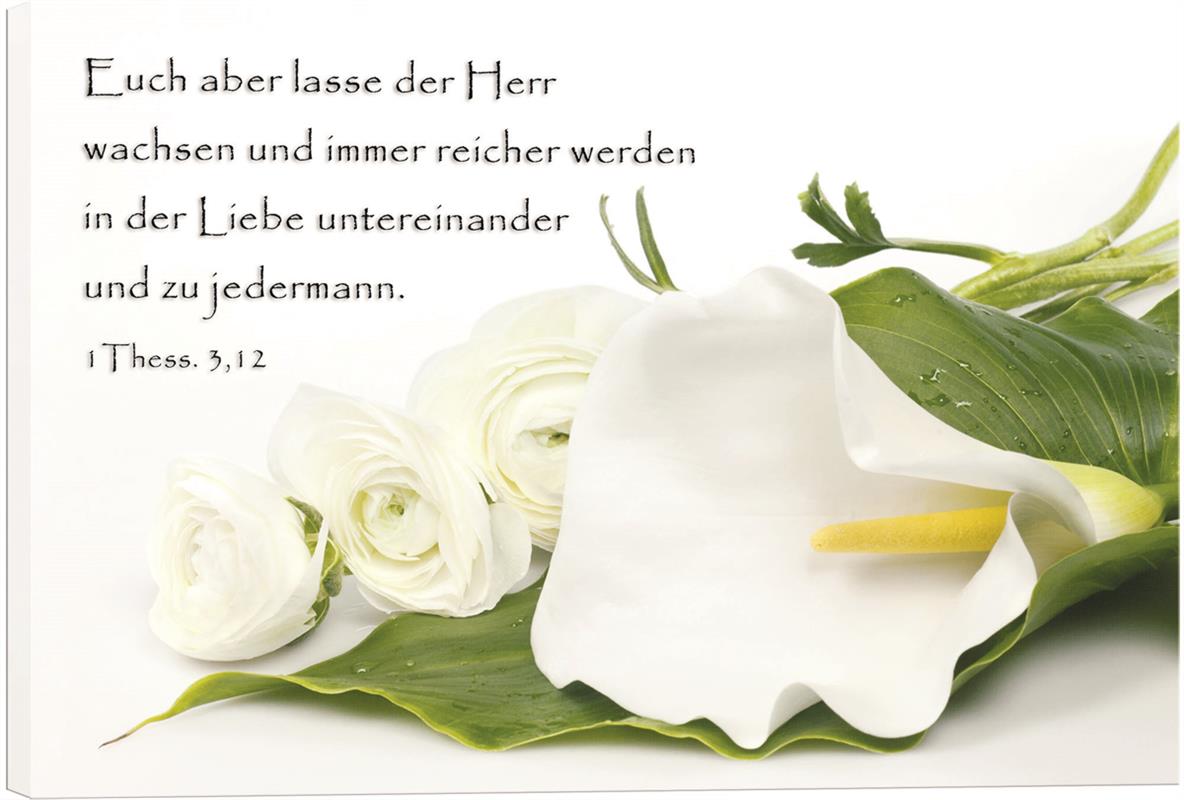Leinwand - Weiße Calla und Rosen