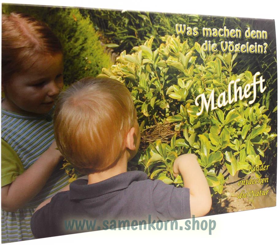 Was machen denn die Vögelein?- Malheft