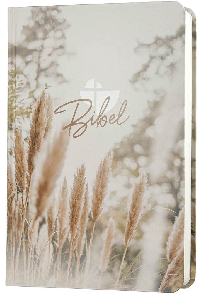 Schlachter 2000 Bibel - Taschenausgabe - Pampasgras
