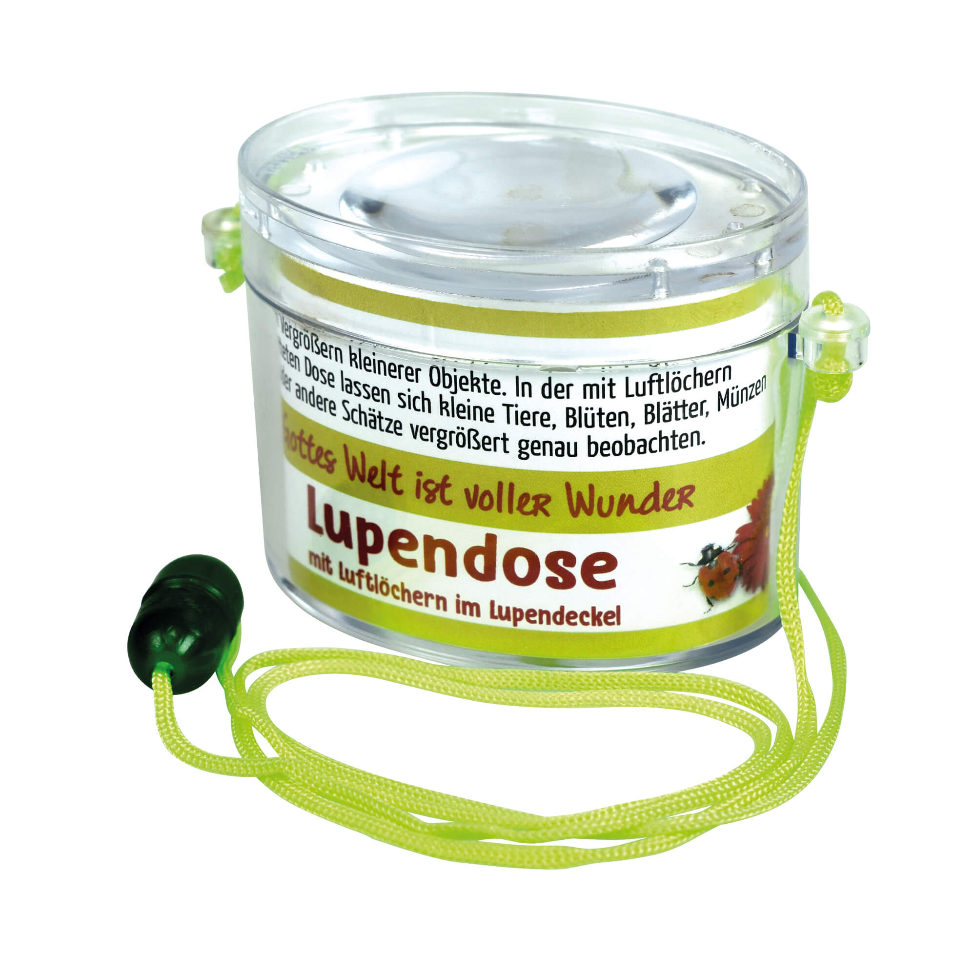 Lupendose-oval-neon-grun-2018_16-lupendose-oval Lupendose - oval