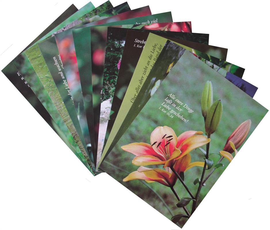 Postkarten-Set - Blumen, 12 Stück