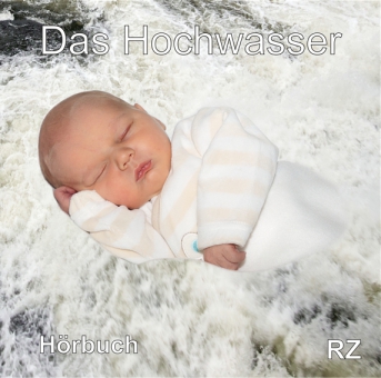 Das Hochwasser - Hörbuch