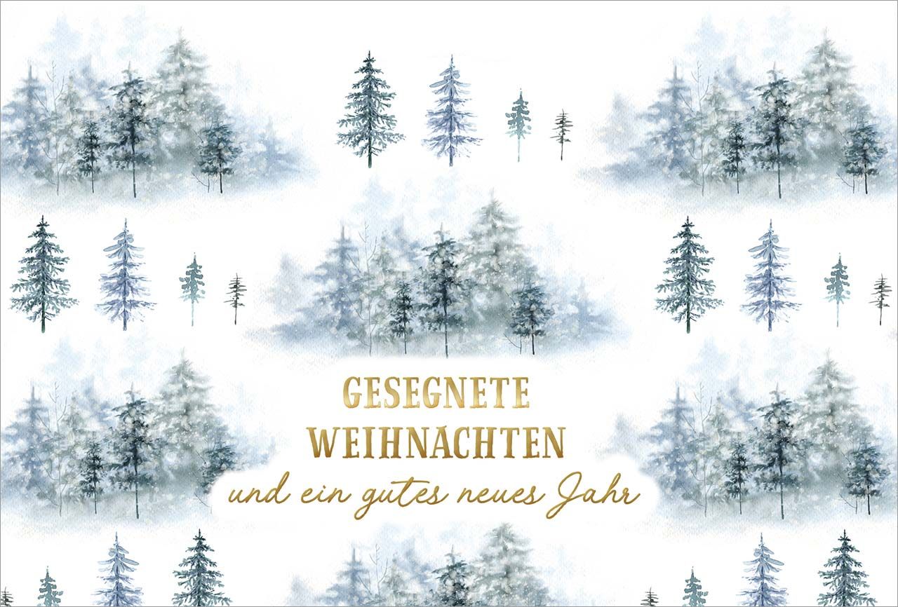 Postkarten - Tannen GF