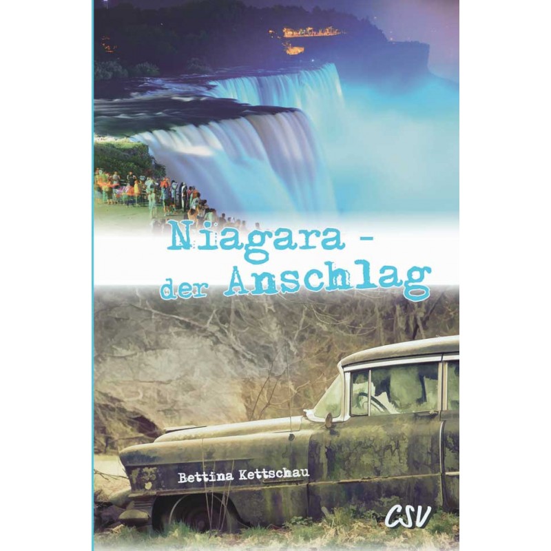 Niagara - der Anschlag - Band 3 Niagara - der Anschlag - Band 3