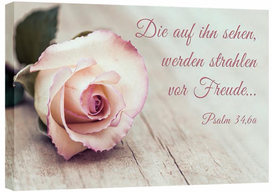 Leinwand - Rose auf Holz