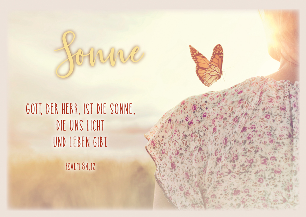 Postkarte - Sonne, Schmetterling