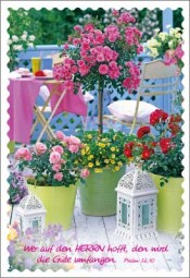 MIni-Sp-Bunte-Balkon-mit-Blumen Mini-SP Balkon mit Blumen