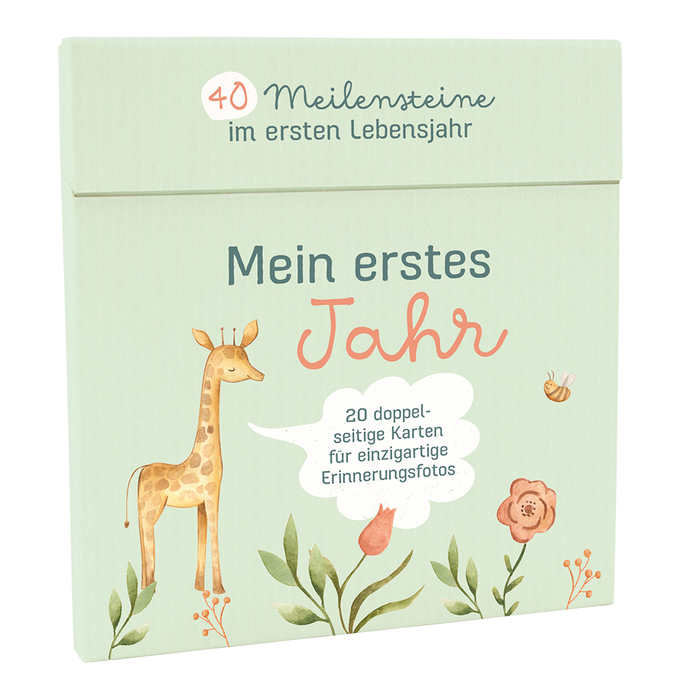 Mein erstes Jahr