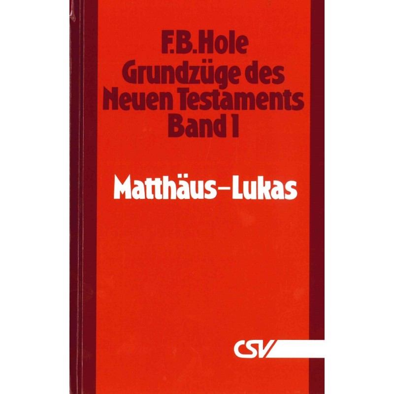 Grundzüge des Neuen Testaments (Bd. 1: Matthäus - Lukas)