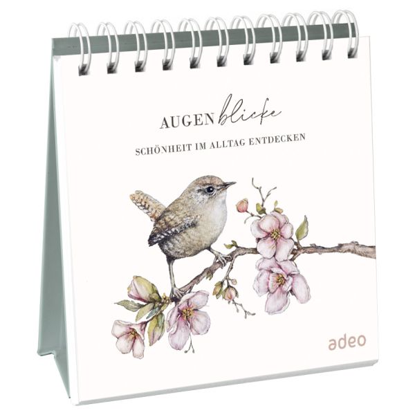 AugenBlicke - Aufstellbuch AugenBlicke - Aufstellbuch