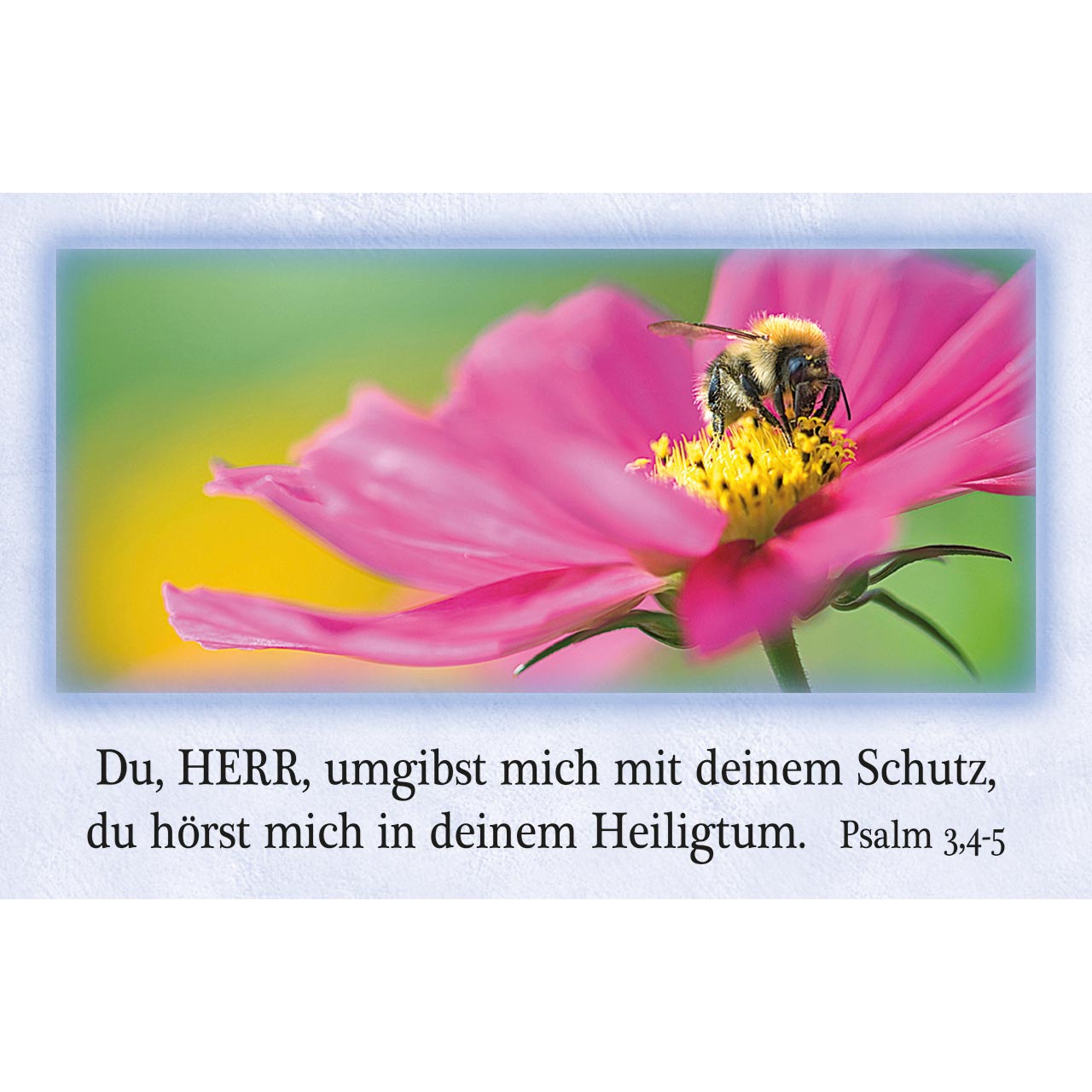 62 Psalm-Karten (Gute-Worte-Box)