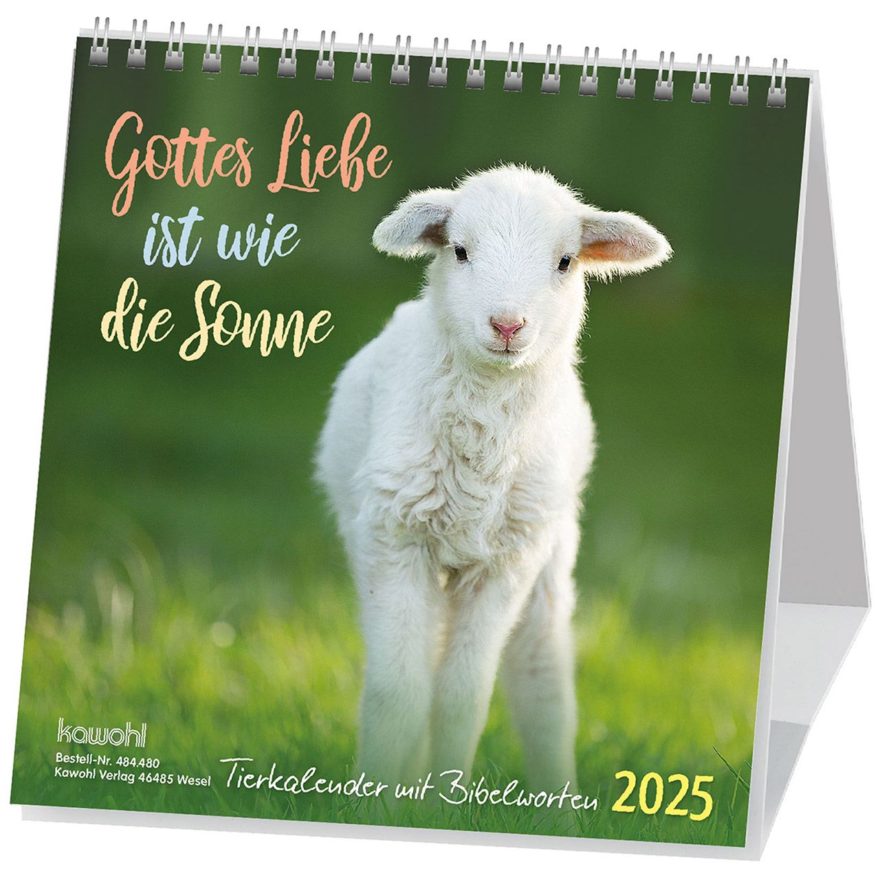 Aufstellkalender - Gottes Liebe ist wie die Sonne 2025