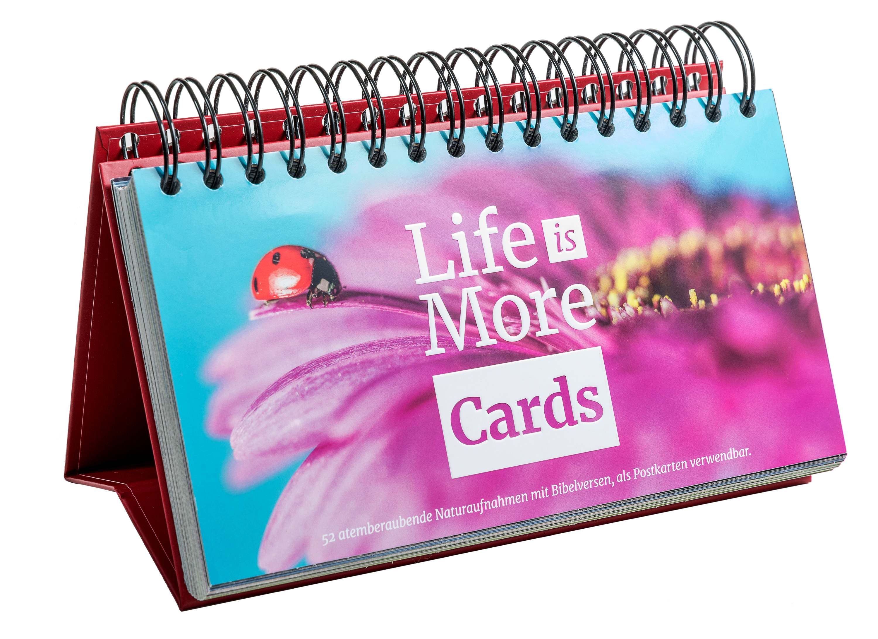 Life-is-More Cards
