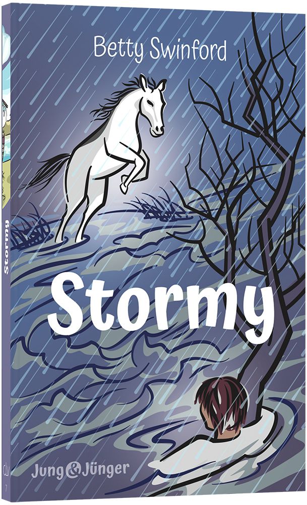 Stormy Stormy