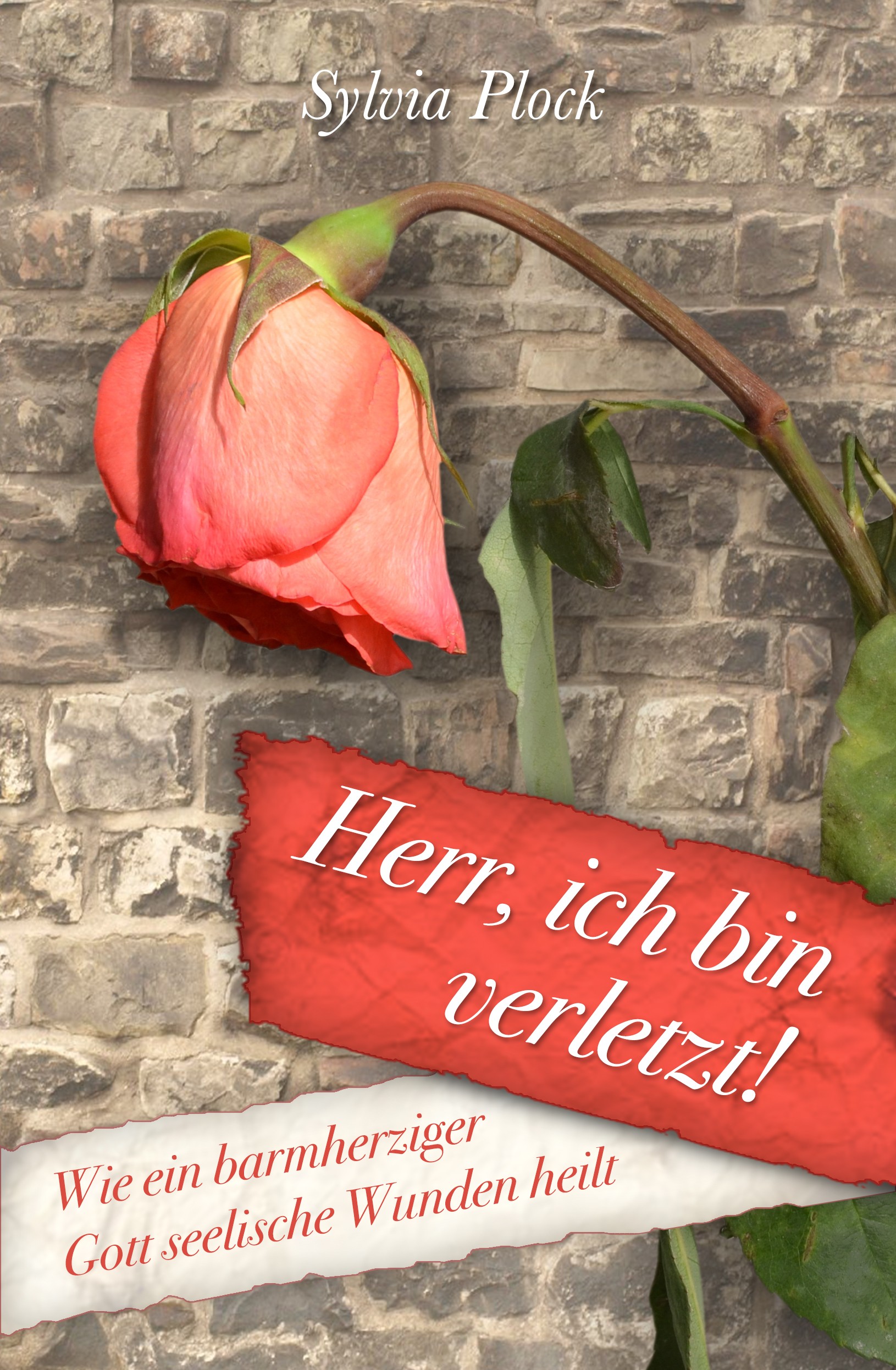 Herr, ich bin verletzt! – Wie ein barmherziger Gott seelische Wunden heilt