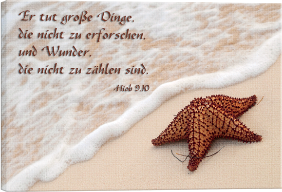 Leinwandbild - Seestern