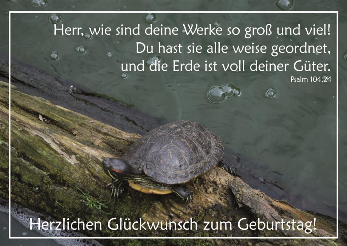 Postkarte-zum-Geburtstag-Psalm-104-24-Postkarte_zum_Geburtstag_8V4y6Li8q0r5Vw Postkarte zum Geburtstag, Psalm 104,24