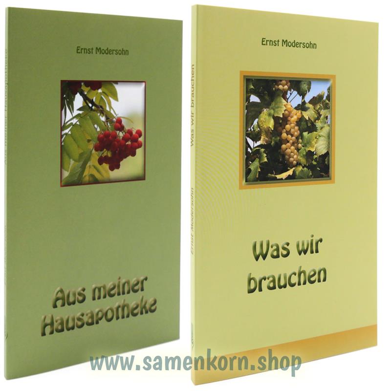 Buchpaket - Ernst Modersohn