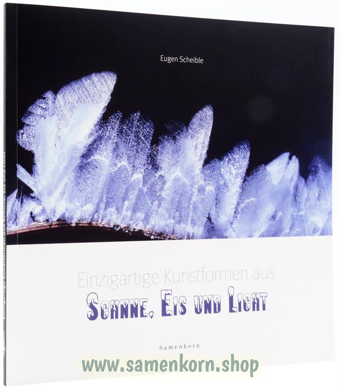 Einzigartige Kunstwerke aus Schnee, Eis und Licht