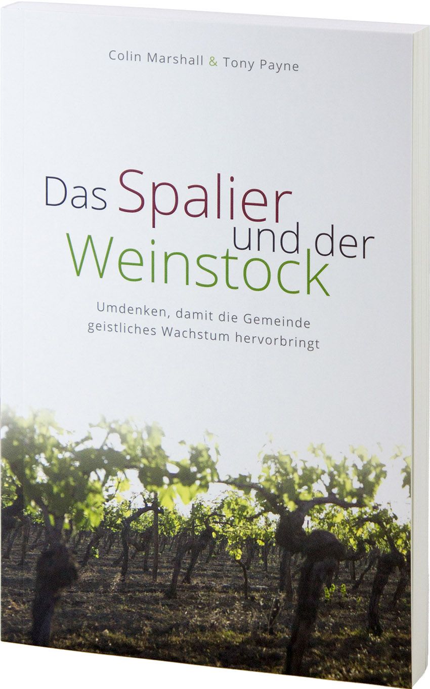 Das Spalier und der Weinstock