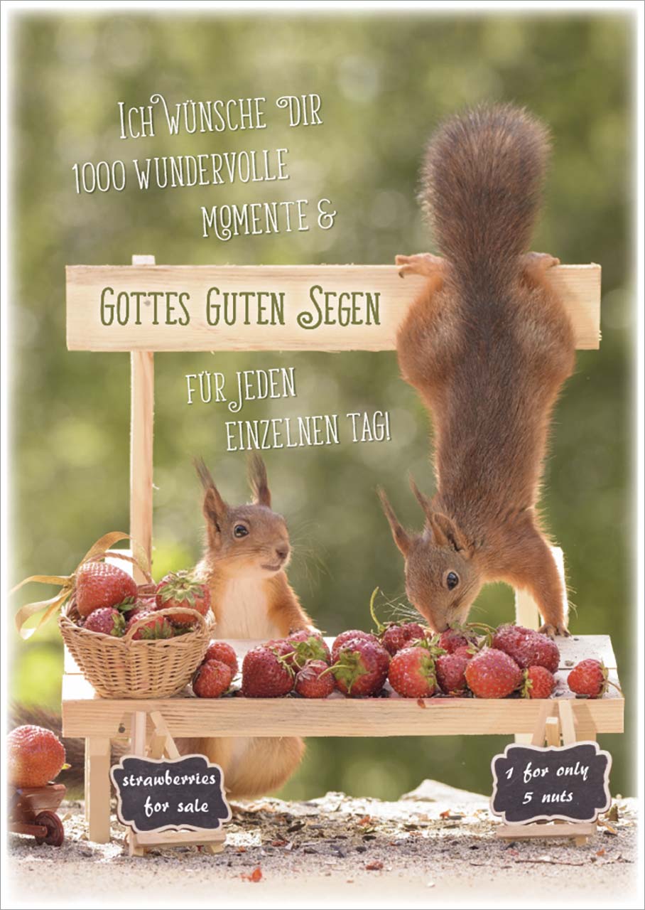 Postkarte Gottes guten Segen - Eichhörnchen Postkarte Gottes guten Segen - Eichhörnchen