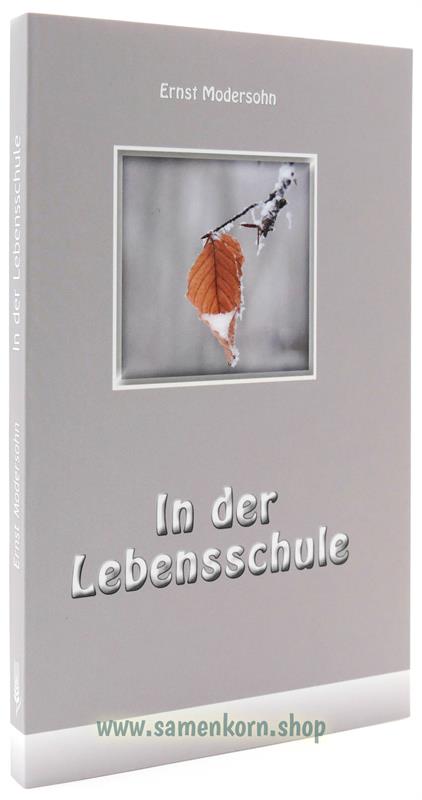 In der Lebensschule