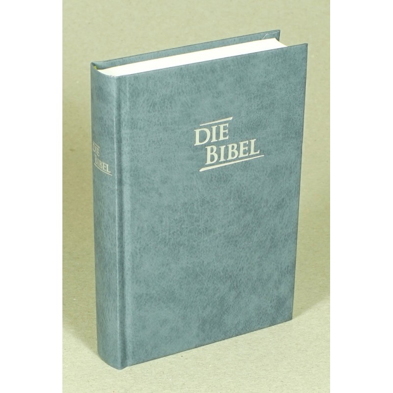 Pocketbibel, Hardcover, Baladek, grau-blau