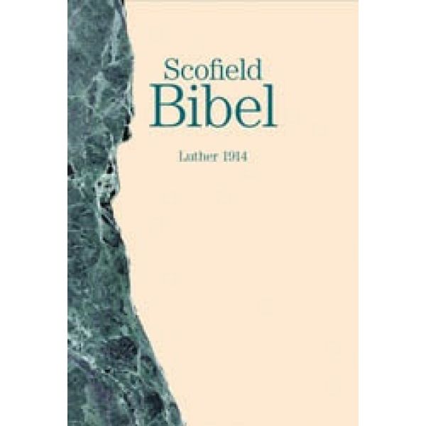 Scofield Bibel - grün/beige