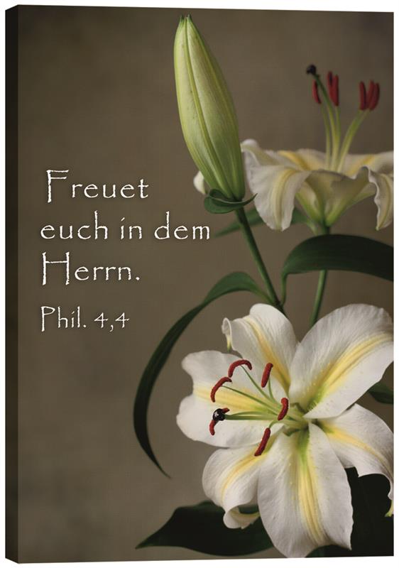 Leinwandbild - Lilien 2