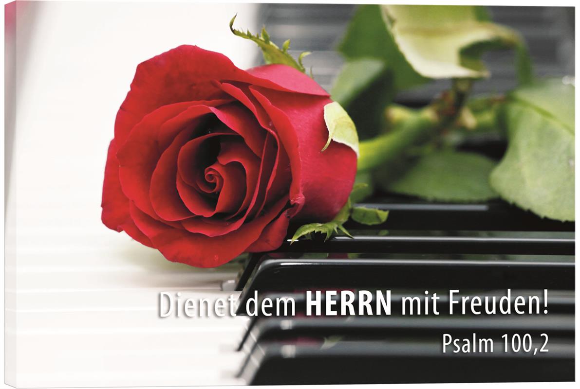Leinwand - Rose auf Klavier