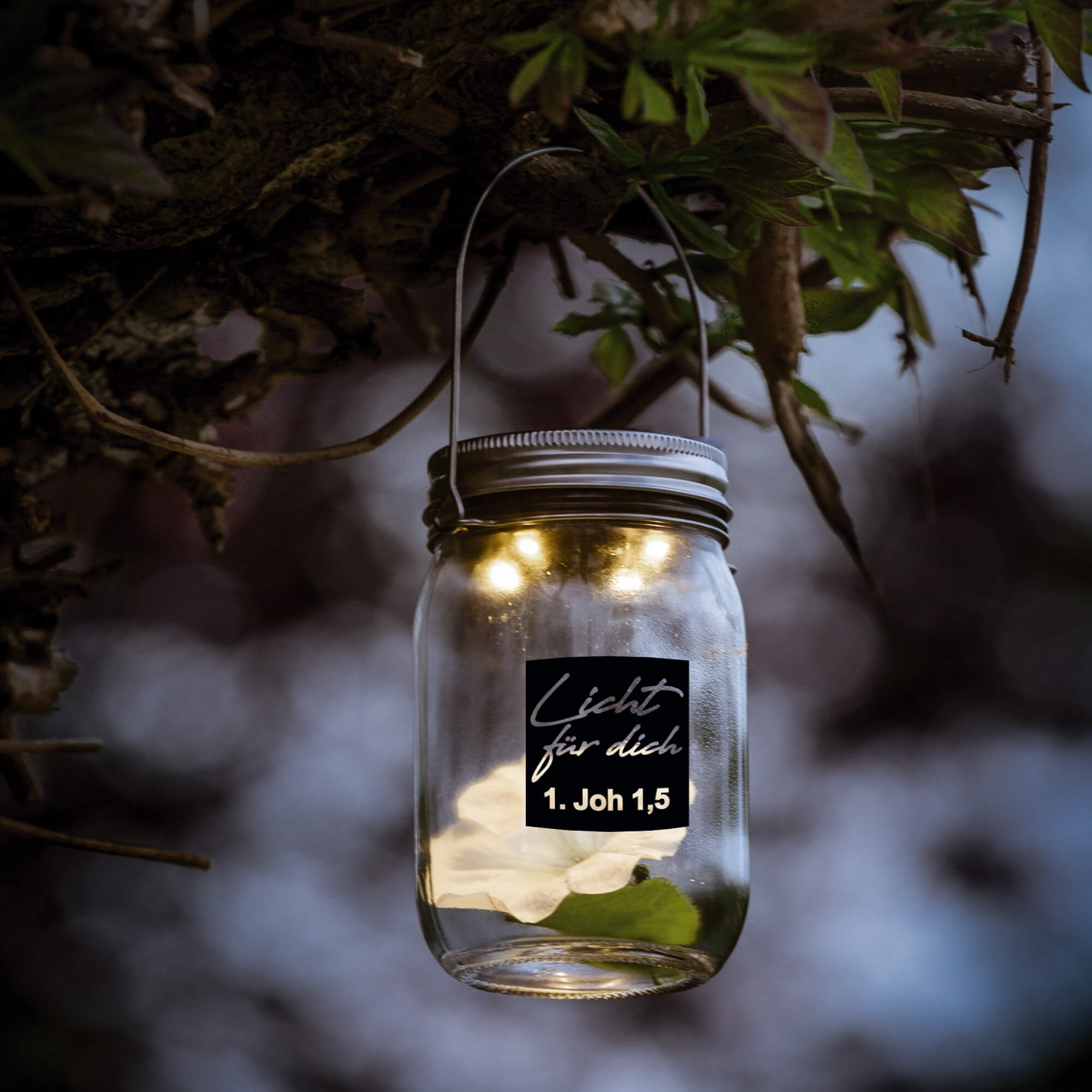 Solarlampe aus Glas Solarlampe aus Glas