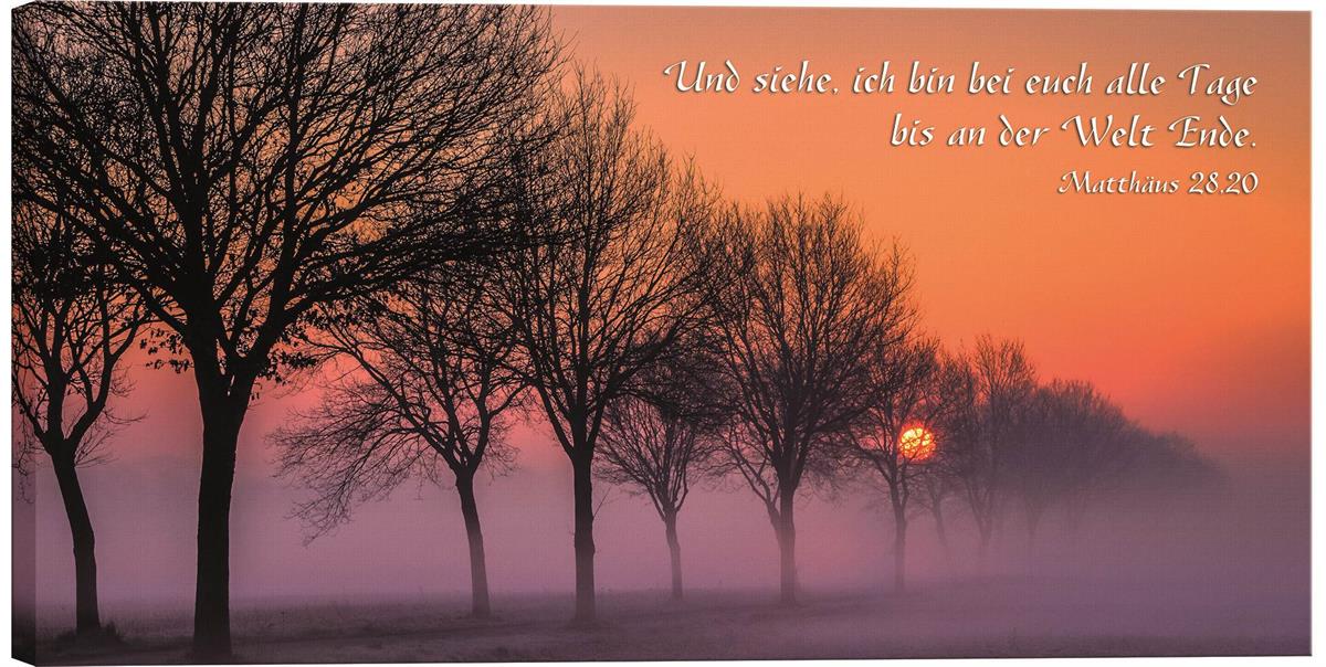 Leinwand - Sonnenaufgang bei Nebel