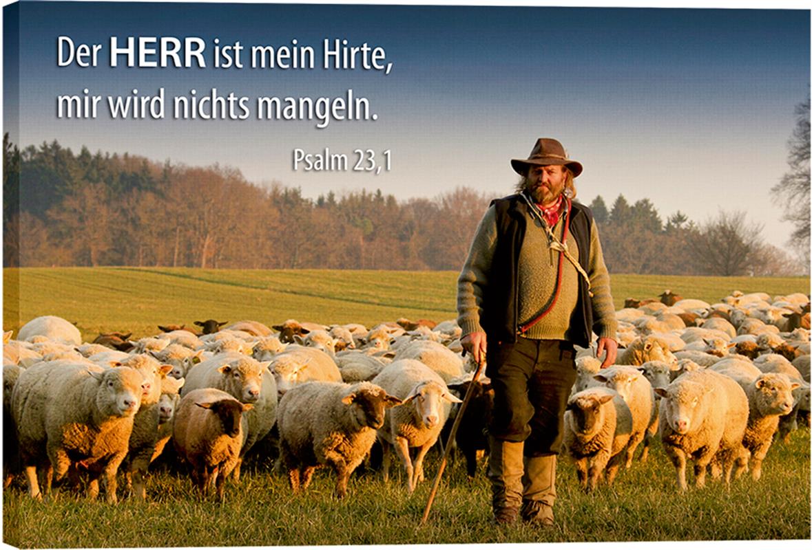 Leinwand - Hirte und Schafe