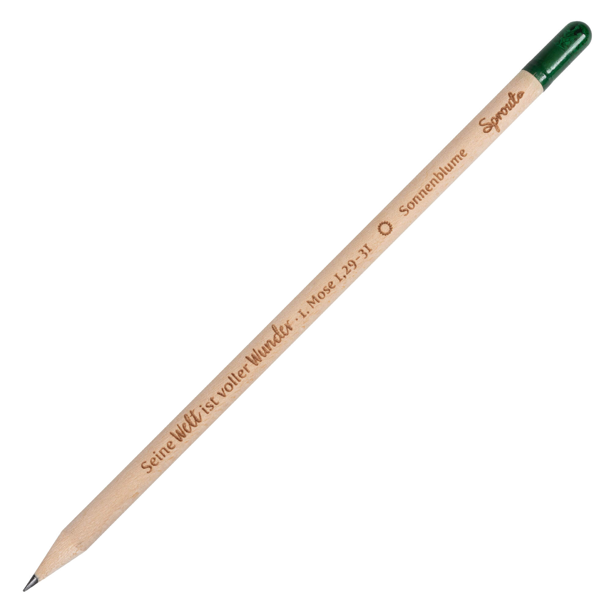 Holzbleistift-Sprout-TM-mit-Sonnenblumen-Samen1852_bleistift-sprout-sonnenblume-1 Holzbleistift (Sprout™) mit Sonnenblumen-Samen