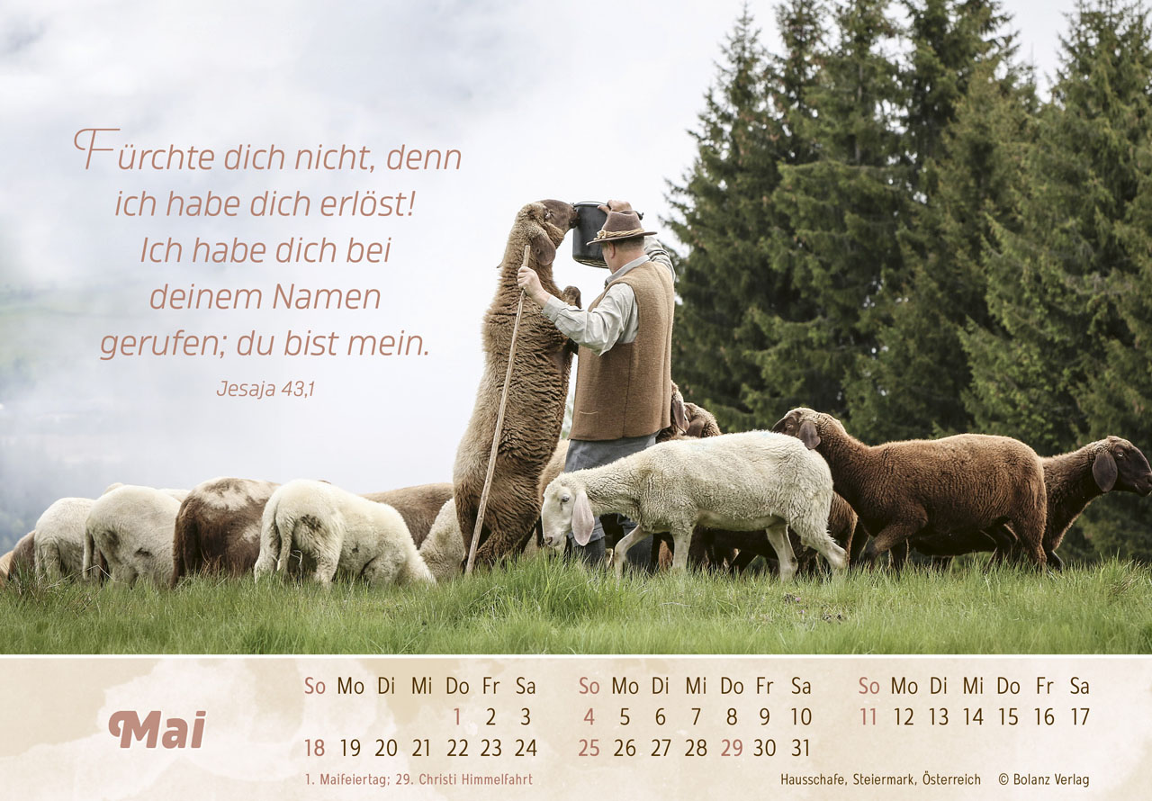 Der Gute Hirte 2025 - Tischkalender