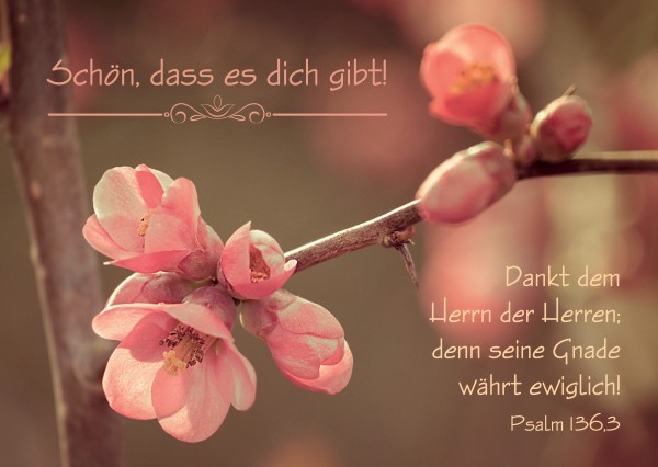 PK - Schön, dass es dich gibt!