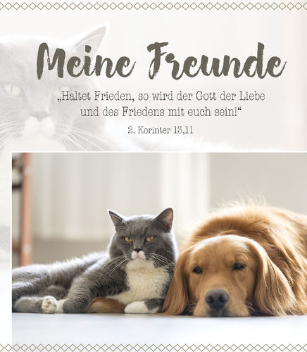 Buch - Meine Freunde (Tiermotive) Buch - Meine Freunde (Tiermotive)