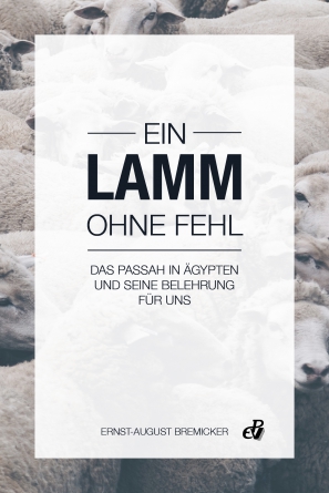 Ein-Lamm-ohne-Fehl-50628 Ein Lamm ohne Fehl