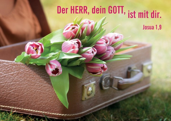 Postkarte - Koffer