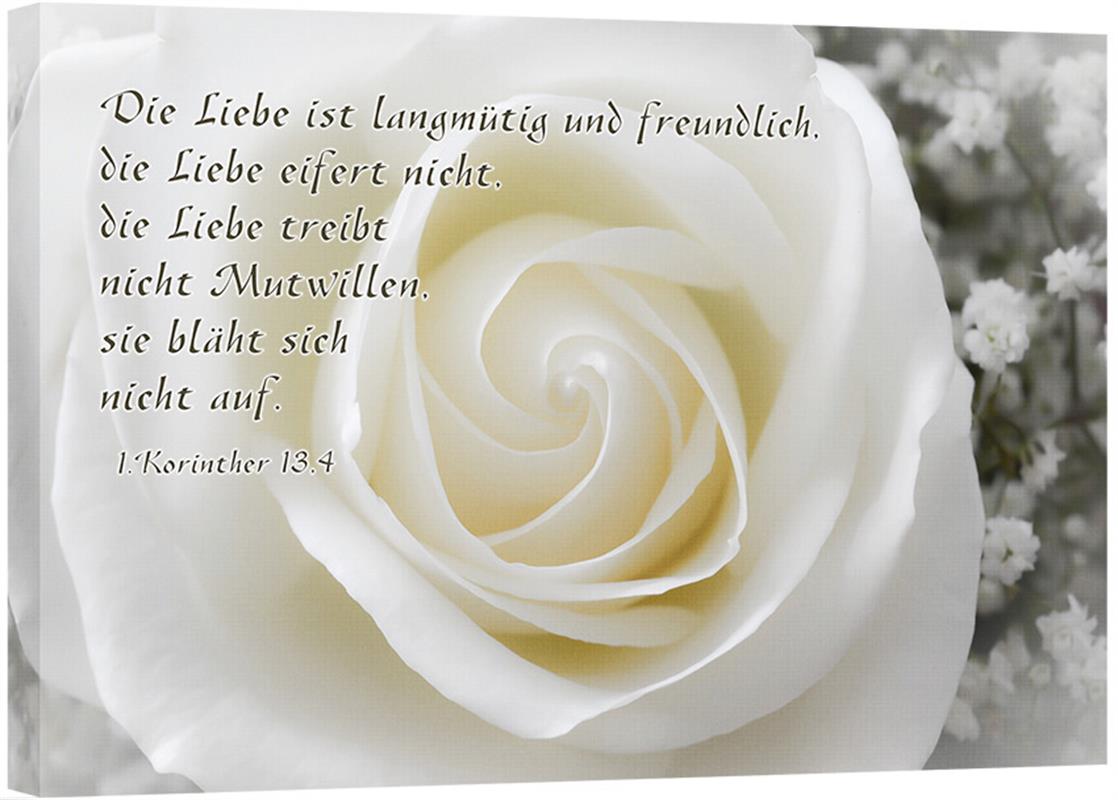 Leinwand - Weiße Rose