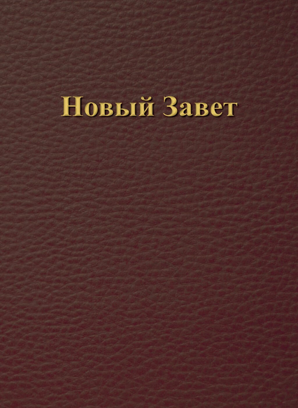 Новый Завет - крупный шрифт  (Neues Testament, Russisch), Großdruck