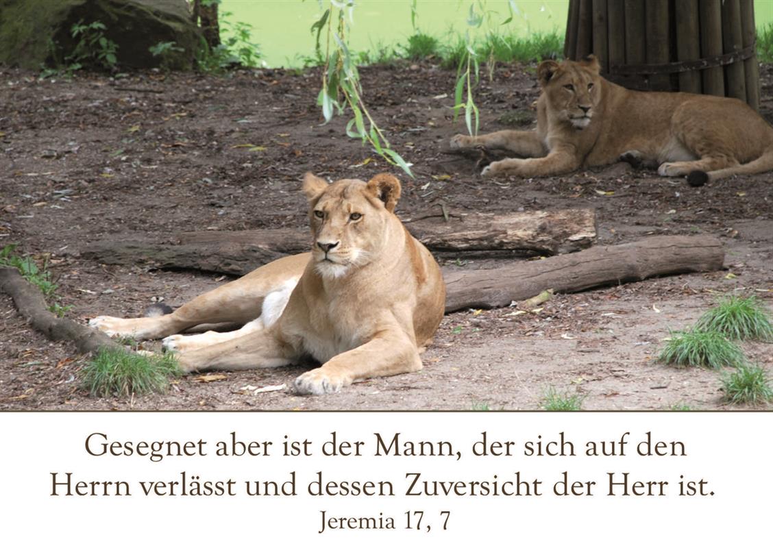 Postkarte-zum-Geburtstag-Jeremia-17-7Postkarte_zum_Geburtstag_12m2RXgrxU1mers Postkarte - zum Geburtstag, Jeremia 17,7