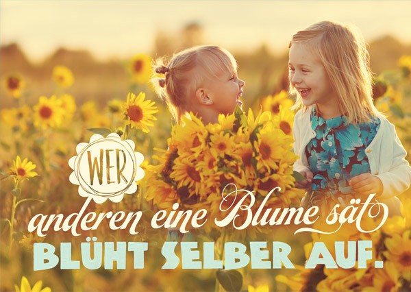 Postkarte - Eine Blume