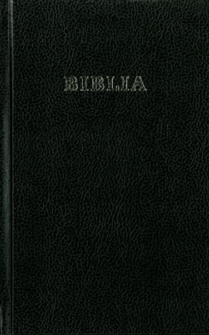 Bibel (Rumänisch)