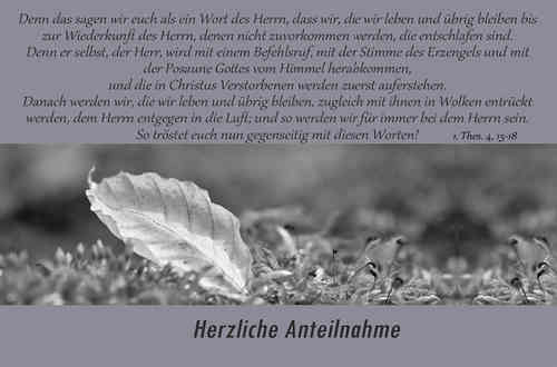 Faltkarte54e70000d435c Faltkarte - Herzliche Anteilnahme